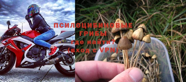 дурь Протвино
