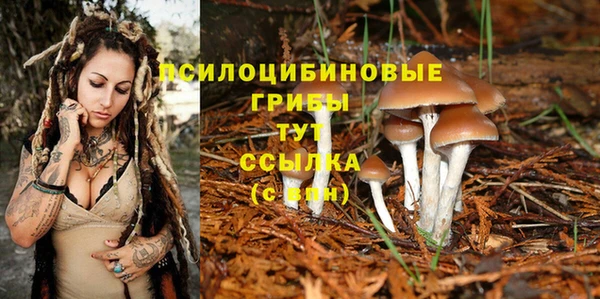 трава Приозерск